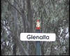 08_-_Glenalta_sign.jpg (52851 bytes)